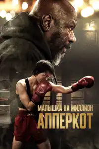 Апперкот 2025